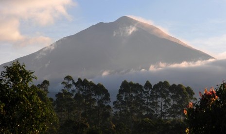 Gunung Kerinci yang berada di Taman Nasional Kerinci Seblat (TNKS). Kepala Kepolisian Daerah (Kapolda) Jambi Inspektur Jenderal Firman Shantyabudi mengatakan, hutan yang ada di Taman Nasional Kerinci Seblat (TNKS) dan Taman Nasional Berbak (TNB) bisa berpotensi terjadi kebakaran hutan dan lahan pada tahun ini.