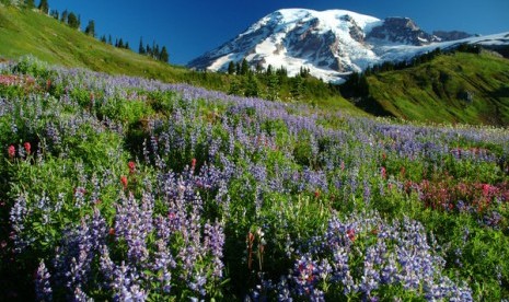 Gunung Rainier, Washington, Amerika Serikat