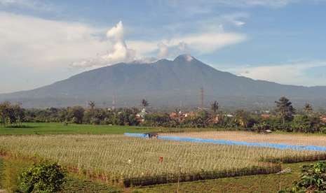 Gunung Salak,ilustrasi. Tim SAR gabungan berhasil mengevakuasi peziarah yang tersesat dan dinyatakan hilang sejak Jumat (30/9/2022) di Gunung Salak, Kabupaten Sukabumi, Jawa Barat, Sabtu (1/10/2022).