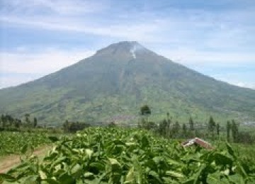 Gunung Sumbing