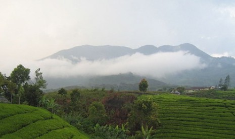 Gunung Talang