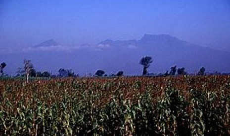 Gunung Wilis dilihat dari arah barat