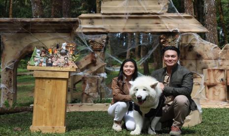 Hadir, lebih dari 30 anjing jenis Alaskan Malamute dan Siberian Husky di kegiatan kemping tersebut.