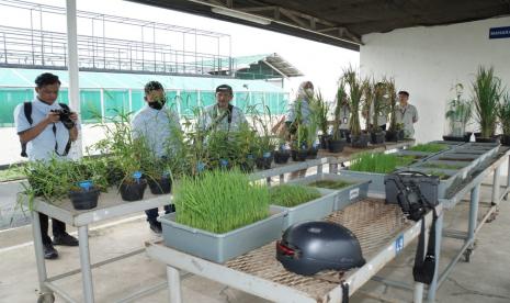 Hadir sejak tahun 1960-an di Indonesia, Syngenta sebagai sektor swasta telah berkontribusi dan mendukung tercapainya ketahanan pangan di Indonesia.