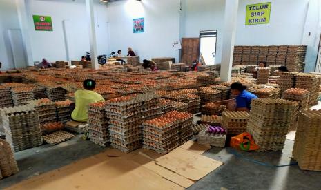 Harga ayam dan telur tingkat produsen di sentra peternakan beranjak naik sesuai dengan harga acuan berdasarkan Peraturan Menteri Perdagangan No 7 Tahun 2020. 