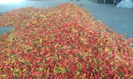 Harga cabe rawit di beberapa daerah di Jabar naik beberapa pekan ini