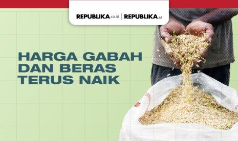 Harga Gabah dan Beras Terus Naik