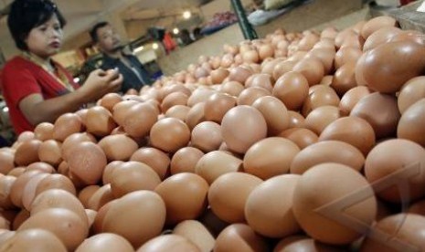 Harga Telur Ayam