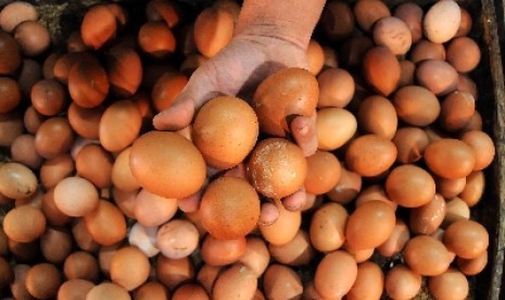 Harga telur ayam merangkak naik jelang Ramadhan.