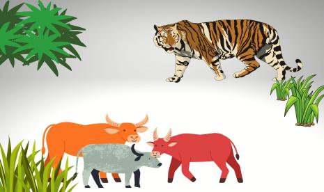 Harimau Sumatra menyerang ternak warga di Kabupaten Agam, Sumbar. (ilustrasi)