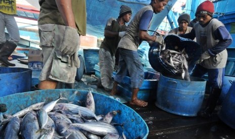 Hasil Tangkapan Ikan Nelayan