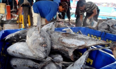 Hasil tangkapan nelayan di pelabuhan Muara Baru, Jakarta.