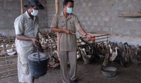 Health workers spray disinfectant in a duck farm to prevent the spread of avian flu virus sub clade 2.3.2.1  (illustration)