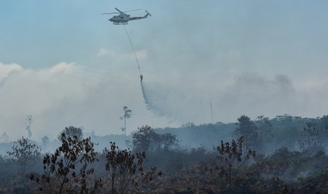 Pemadaman kebakaran hutan dan lahan (ilustrasi)