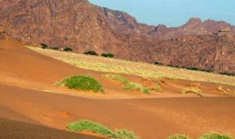 Hima di Saudi Arabia