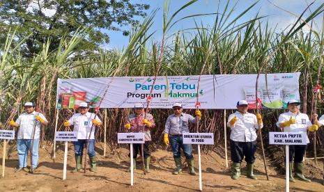   Holding Pangan ID FOOD bersama Pupuk Indonesia melalui PT Petrokimia Gresik dan PT PG Rajawali I  serta Pemerintah Kabupaten (Pemkab) Malang dan sejumlah stakeholder melakukan kegiatan seremonial tanam dan panen tebu di lahan percontohan di Kecamatan Gondanglegi, Kabupaten Malang.. Holding Pangan ID Food bersama Pupuk Indonesia Holding Company (PIHC) realisasi program Makmur atau pendampingan manajemen pertanian bagi para petani telah mencapai 168,5 ribu hektare sepanjang semester I 2022 dari target tahun ini 250 ribu hektare.