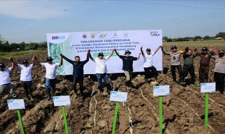 Holding Perkebunan Nusantara bekerja sama dengan Pemerintah Kabupaten Pemalang, Jawa Tengah, melakukan tanam tebu perdana pada areal seluas 10 hektare di Desa Banglarangan, Kecamatan Ampelgading.