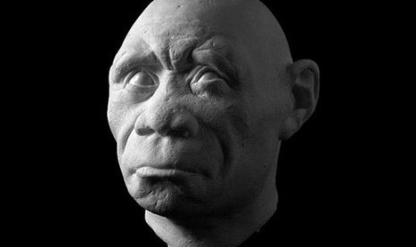  Homo floresiensis