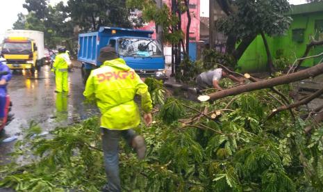 Hujan deras dan angin kencang yang terjadi Ahad (11/4) siang hingga sore menyebabkan sejumlah pohon tumbang. Beberapa diantaranya menimpa kendaraan roda empat dan kios sehingga mengalami kerusakan parah serta menghalangi sebagian ruas jalan. 