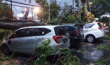 Hujan deras disertai angin kencang di wilayah Kota Bandung dan Kabupaten Bandung, menyebabkan belasan pohon tumbang. Sebagian bahkan menimpa beberapa kendaraan.