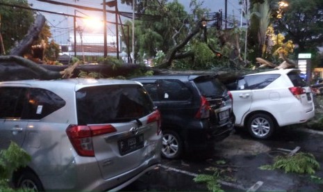 Hujan deras disertai angin kencang di wilayah Kota Bandung dan Kabupaten Bandung yang berlangsung 1 jam lebih menyebabkan belasan pohon tumbang. Sebagian bahkan menimpa beberapa mobil, Rabu (18/12).