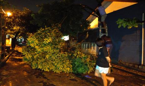  DLHK Depok Imbau Warga Tidak Tebang Pohon Sembarangan. Foto: Hujan deras disertai angin kencang  selama satu jam mengakibatkan ratusan pohon pelidung jalan tumbang di Kota Depok, Selasa (21/9), sekira pukul 16.30 WIB-17.30 WIB. Pohon-pohon yang tumbang yang melintang ditengah jalan juga menimbulkan kemacetan total disejumlah titik jalan. 