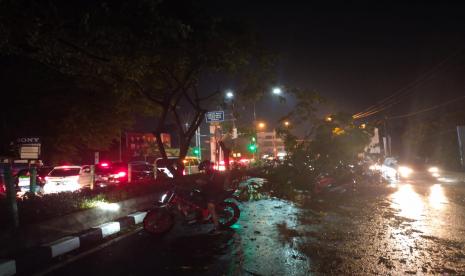 Hujan deras disertai angin kencang  selama satu jam mengakibatkan ratusan pohon pelidung jalan tumbang di Kota Depok, Selasa (21/9), sekira pukul 16.30 WIB-17.30 WIB. Pohon-pohon yang tumbang yang melintang ditengah jalan juga menimbulkan kemacetan total disejumlah titik jalan. 