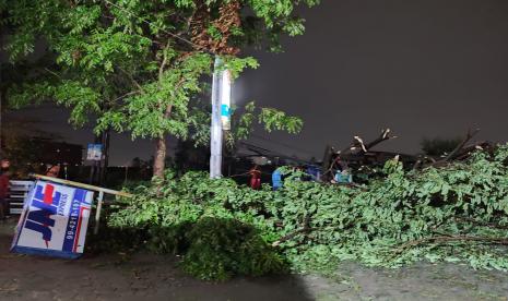 Hujan deras yang mengguyur wilayah Kota Bandung, Kamis (21/10) sore menyebabkan sejumlah pohon tumbang di beberapa titik. Terdapat kendaraan milik warga yang rusak akibat tertimpa pohon tumbang dan sempat menutupi jalan bagi para pengendara.