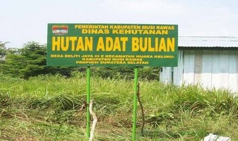 Hutan Adat (ilustrasi)