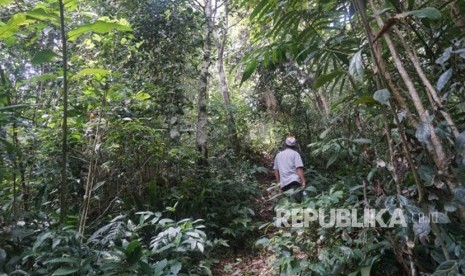 Hutan adat Mude Ayek Tebat Benawa di Dusun Tebat Benawa, Kelurahan Penjalang Kecamatan Dempo Selatan, Kota Pagaralam, Sumatera Selatan (Sumsel).