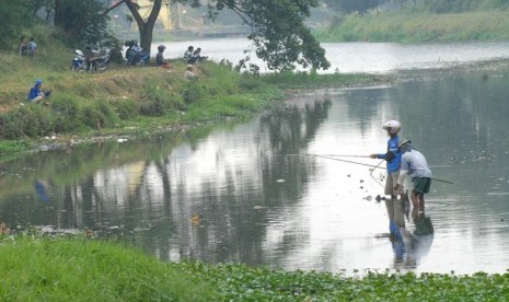 Hutan Danau UI