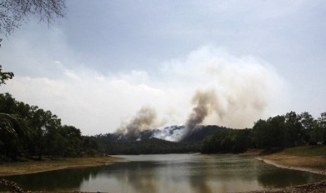 Hutan di bukit Sei Harapan, Sekupang, Batam menjadi daerah tangkapan air (water cacthmen area) bagi dam Sei Harapan.