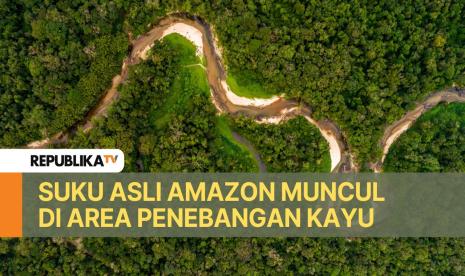 Hutan hutan Amazon.