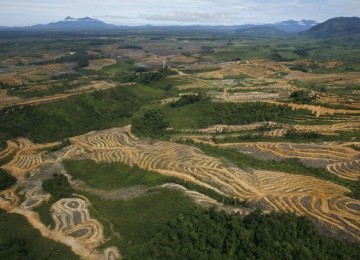 Hutan Kalimantan yang telah gundul karena penebangan liar.