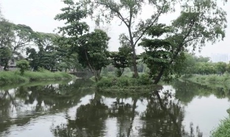 Hutan kota Kemayoran