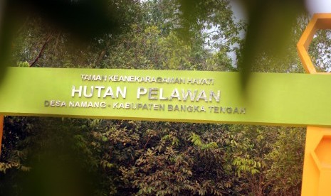 hutan pelawan