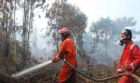 Hutan terbakar, ilustrasi