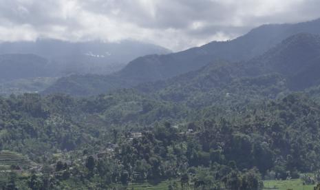 Hutan wakaf bisa menjadi sebuah terobosan dalam pelestarian lingkungan.