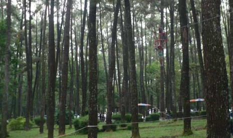 Hutan wisata Punti Kayu Palembang