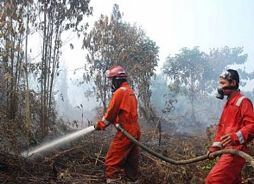 Hutan terbakar, ilustrasi