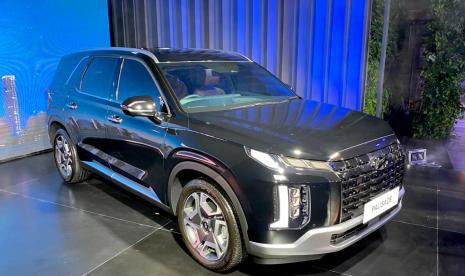 Hyundai Palisade.