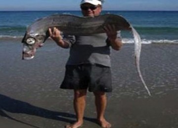 Ikan aneh di Florida