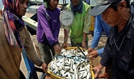 Ikan hasil tangkapan nelayan