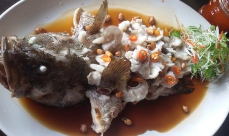 Ikan Kerapu di Resr