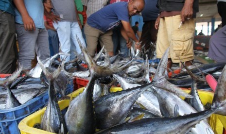 Ikan laut hasil tangkapan nelayan. 