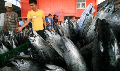 Ikan laut (ilustrasi)