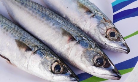 Resep Sambal Goreng Mackerel. Ikan mackerel, salah satu makanan kaya DHA.