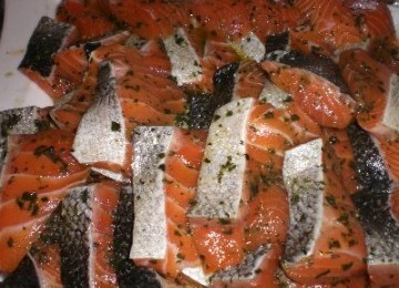 Ikan Salmon