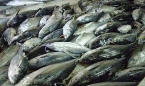 Ikan tangkapan nelayan Indonesia