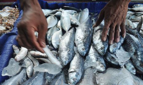 Ikan kembung.